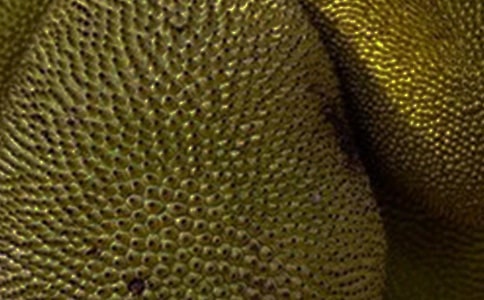 【精華】菠蘿蜜作文