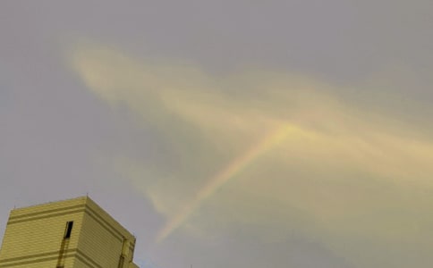 ���еĲʺ�����[���x]