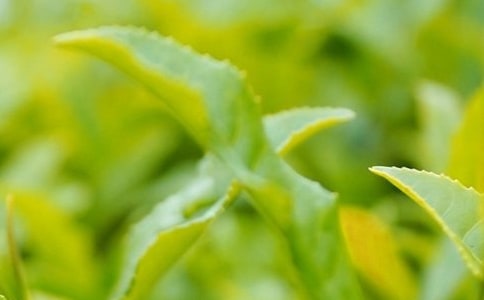 �����ò��~�������w