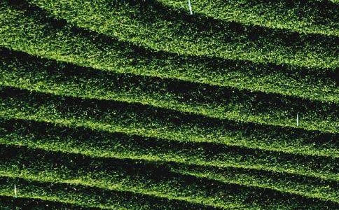 �ɲ��~����15ƪ(��(y��u))