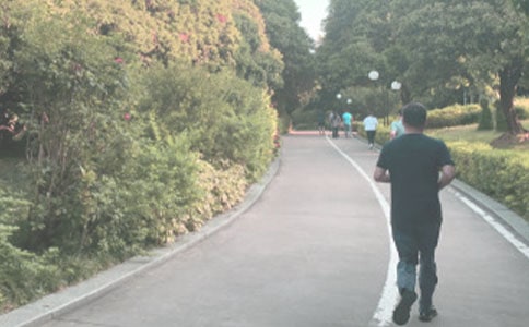 晨跑的作文必備(15篇)