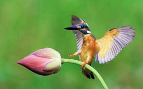 �����B���n��Ƭ���p��