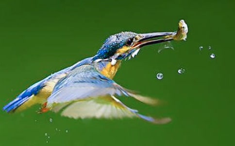 ���B�Ƴ���x��2ƪ