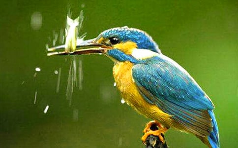 ���꼉�Z�ġ����B���n��ԭ��