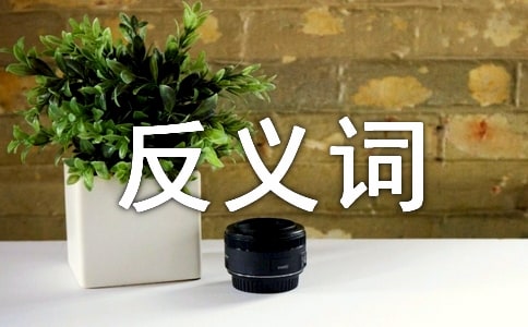 ���ֿտյ�.���x�~