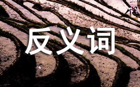 ��Ӗ(x��n)�ķ��x�~��ʲô