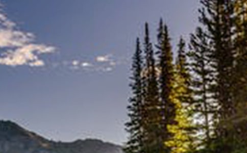 �@߅�L����������