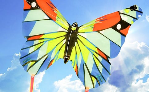 ���������L�~����(y��u)��̰������x10ƪ��