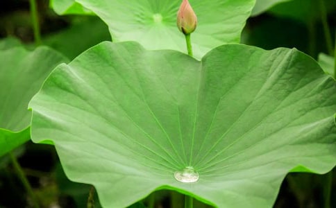 ���~������(��(j��ng)��)