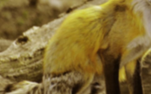 ��؂�͞��f�Ĺ����¾�ͨ��