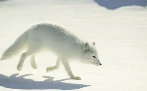 С��؂�I����