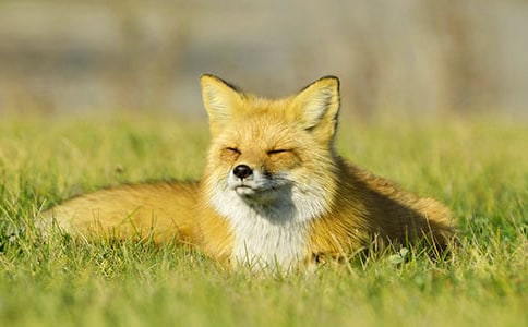 С��؂���D��Ԓ�����x24ƪ��