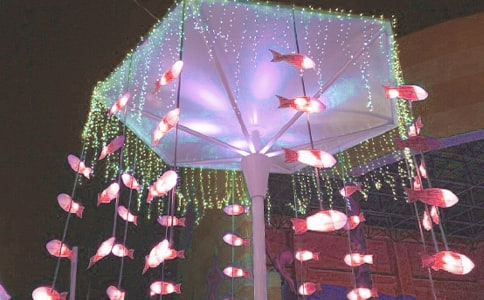 (���x)����������