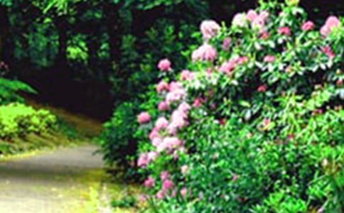 С�^(q��)�Ļ��@���ļ��\��13ƪ��