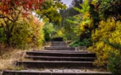 ���˵Ļ��@��(y��u)���n��