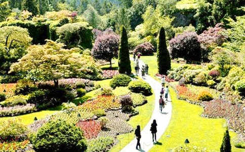 �����˵Ļ��@���ă�(y��u)��̰�