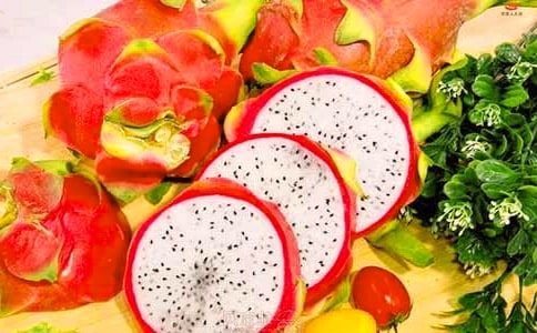 ���ϼ�������������15ƪ