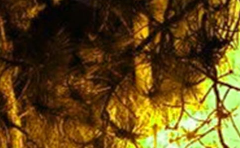 ����A(y��)��늟�̺�l(f��)�����(z��i)