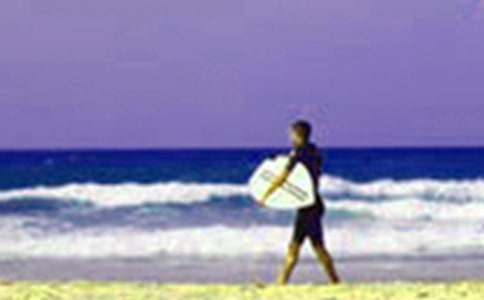 С�W(xu��)�����ڰ�ȫ���C��(sh��)��ƪ