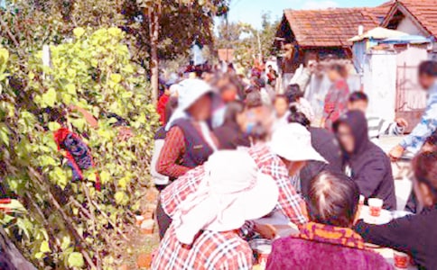 ӆ�����ϯ��λ����