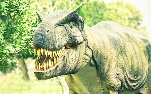 �������Ĝ�^���n��