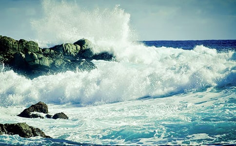 �˻�������