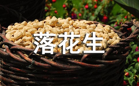 落花生的導(dǎo)學(xué)案