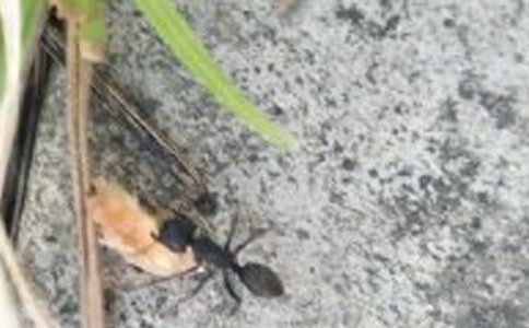 һ�꼉���D��Ԓ֮Λρ�^��