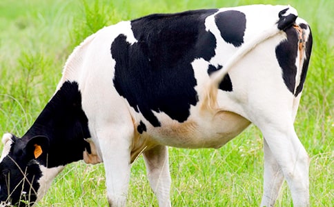 ���������������m(x��)��(xi��)����550��