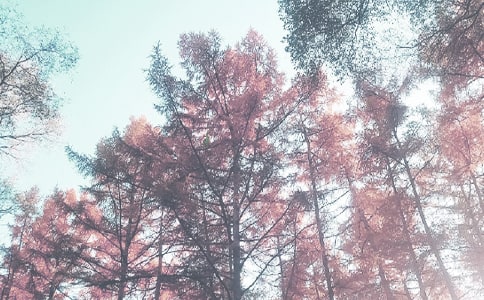 �＾�����L(f��ng)����Ӌ�������x11ƪ��