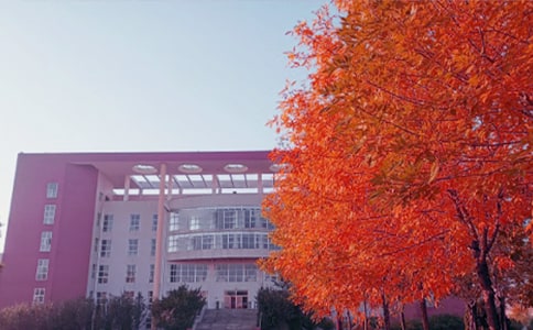 ����������˽�Z����