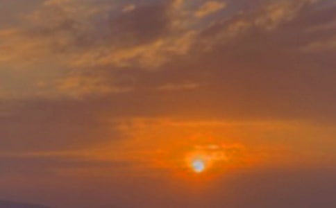 �茑���������Ԋ��