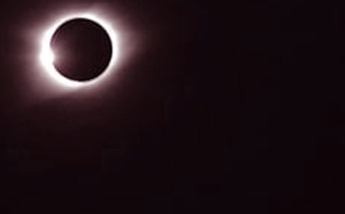 ���г�������800�֣���ʳ�^���(b��o)��