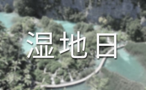 2025���������ջ�ӷ�����ͨ��6ƪ��