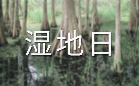 世界濕地日宣傳活動實施方案(通用6篇)