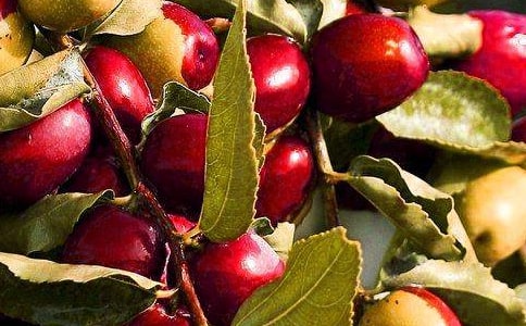 �������һ�꼉(j��)�σ�(c��)����ϲ�g��ˮ�����f(shu��)�n��