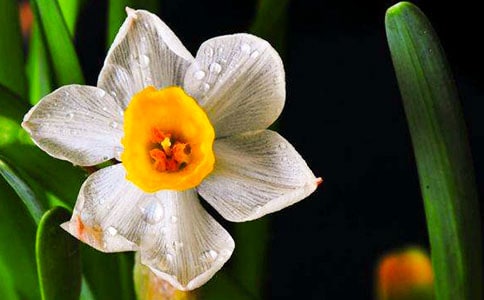 ����ˮ������