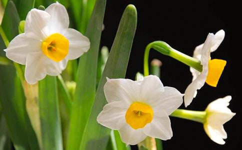 �غ�һ��ˮ�ɳ���ɢ����x����