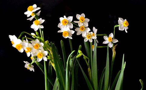 ˮ�ɲ����ʲô��