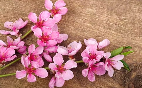 ���һ�ԭ�ļ��p��