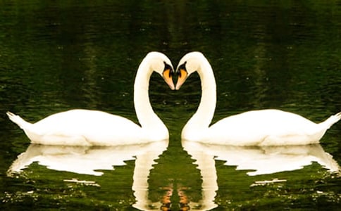 �����Z������