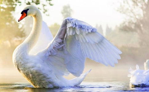 ��С��׃���Z����