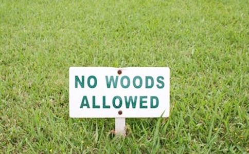 �����'ͨ��