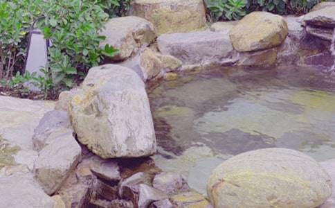 �ݜ�Ȫ��(y��ng)ע������(xi��ng)