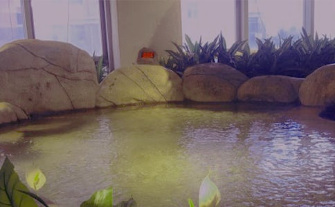 ����Ȼ��Ȫ�ȼ�����