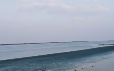 我們看海去作文