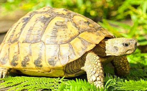 �o����?sh��)ĵ��~����