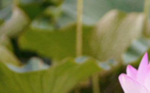 ����������ʲô