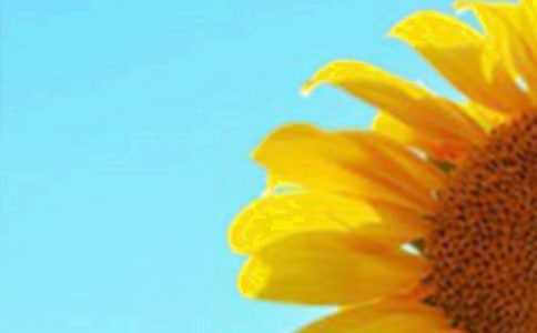 ���տ�������