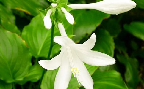 ҹ��������14ƪ[��(j��ng)��]